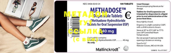 PSILOCYBIN Инта
