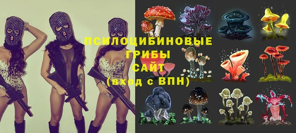 ALPHA PVP Зеленокумск