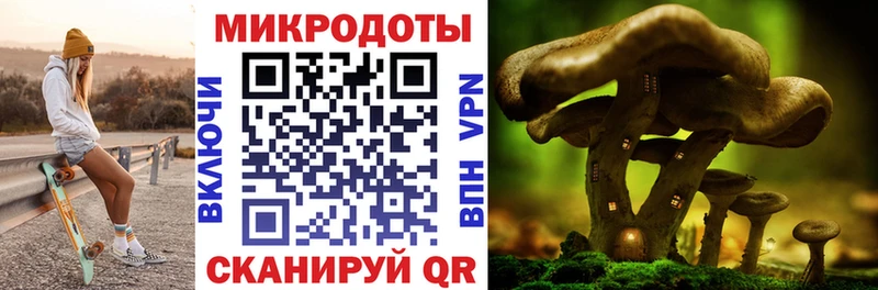 Купить закладки  Искитим  Псилоцибиновые грибы ЛСД 